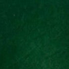 Forest green colour swatch